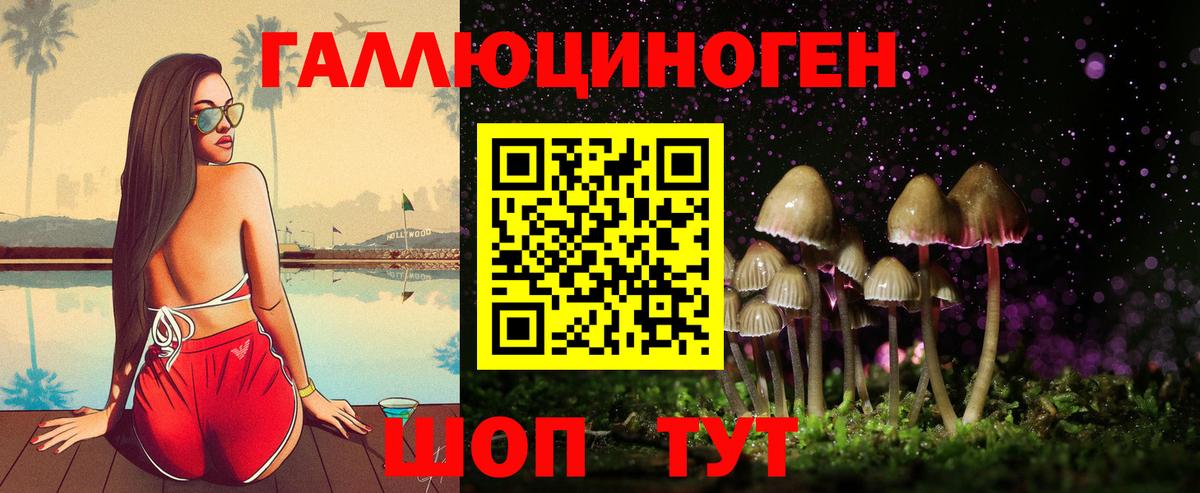 Псилоцибиновые грибы Psilocybine cubensis  Вход с VPN  Отрадный  Галлюциногенные грибы MAGIC MUSHROOMS 