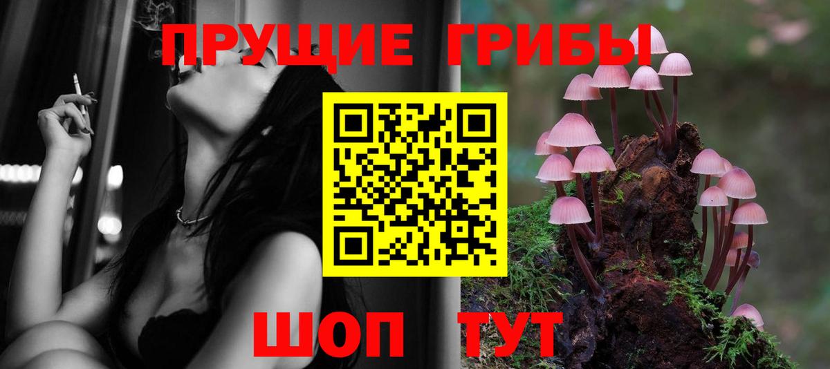 Галлюциногенные грибы мухоморы Отрадный